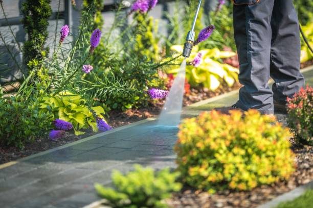 Reliable Orange, TX Pressure Washing Solutions